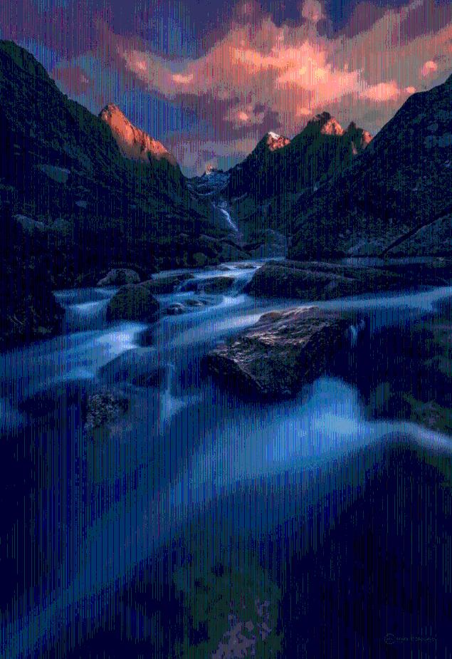 春雨直播app